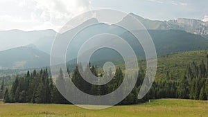 Meadow, forest and mountains.