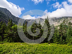 Meadow and Forest Under Mountain Ridge, Katahdin, Maine