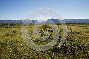 Meadow in Front of Western Brook Pond in Gros Morne National Park in Newfoundland