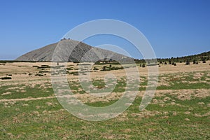 Meadow at Giant mountains