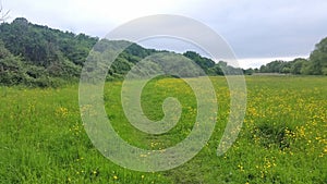 Meadow grass land in london near Heathrow airport .uk