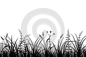 Meadow grass silhouette