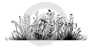 Meadow. Grass silhouette. hand drawing. Not AI, Vector illustration