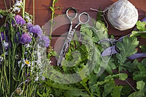 Meadow grasses, oak leaves and tools for wreath making