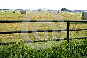 Meadow grasslands farm round bales in Texas