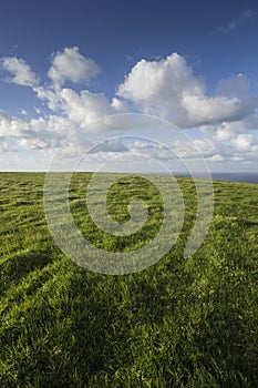 Meadow with green grass and clouds over the sea