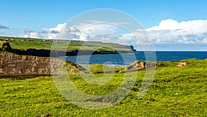 Meadow with green grass next to Doolin bay with the cliff in the background