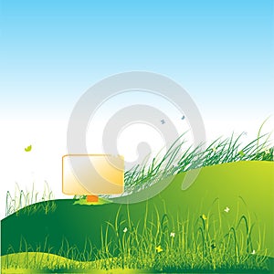 Meadow green, summer