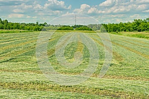 Meadow after haymaking.