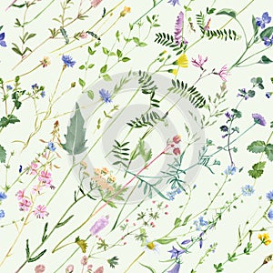 meadow herbs and flowers seamless pattern