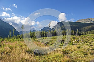 Meadow and High Tatras mountains