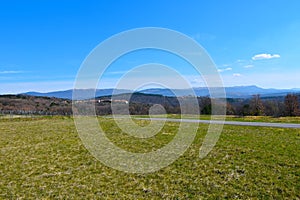 Meadow and hilly landscape of Istria Primorska photo