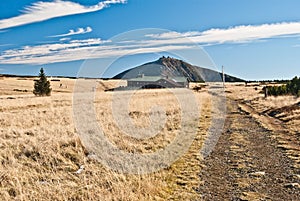 Meadow with isolated tree, Lucni bouda chalet and Snezka hill in Krkonose mountains