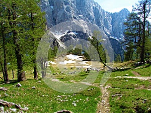 Meadow at Jezerca bellow Slemenova Spica in Julian alps, Slovenia with patches of snow