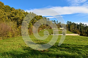 Meadow at Karst plateau in Primorska, Slovenia photo