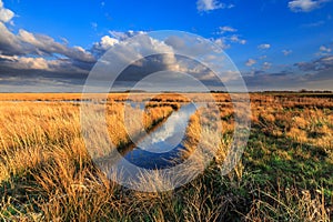 Meadow landscape with beautiful cloudscape