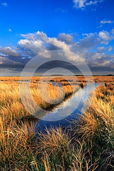 Meadow landscape with beautiful cloudscape