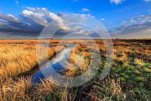 Meadow landscape with beautiful cloudscape