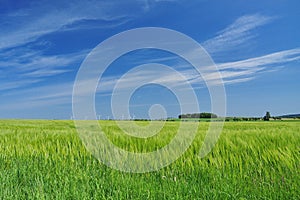 Meadow landscape, blue sky, Saxony, Germany photo