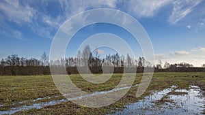 Meadow landscape with puddle