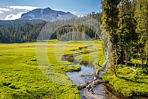 Meadow in Lassen Volcanic National Park