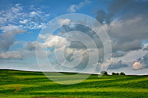 Meadow Meets Sky