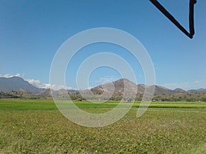 Meadow and mountain and Savana