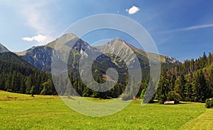 Meadow and mountain