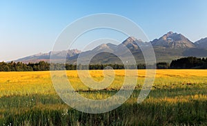 Meadow and mountain