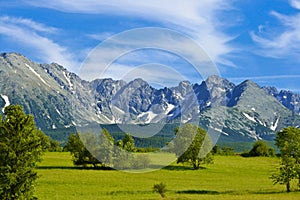 Meadow and mountains