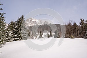 Lúka v horách v pozadí les s hrebeňom pokrytým snehom v zime, slovensko malá fatra