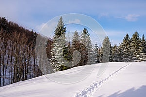 Lúka v horách v pozadí les s hrebeňom pokrytým snehom v zime, slovensko malá fatra