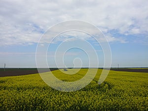 Meadow in North Serbia