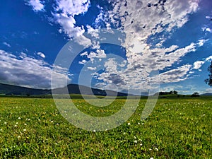 Meadow with Novohrad mountines on background photo