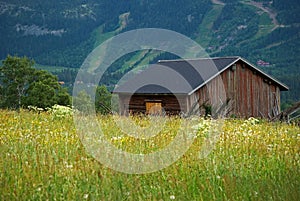 Meadow with old barn