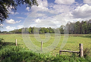 Meadow in the Pannenhoef nature reserve near Rijsbergen