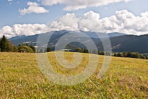 Meadow with panorama of Tatry mountains