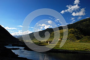 Meadow at a peace lake