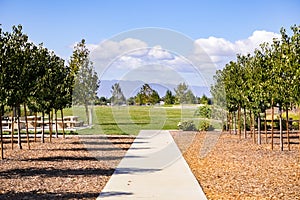 Meadow and Picnic spot, Martial Cottle Park, San Jose, California