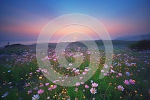 meadow of pink wildflowers in mountains at sunset