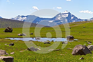 Meadow and pond in Glacier National Park