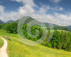 Meadow with road in Berchtesgaden National Park