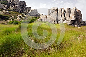 Meadow and rocks