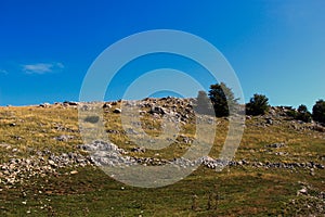 Meadow, rocks and trees. Bjelasnica Mountain, Bosnia and Herzegovina photo