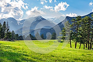 Meadow in Rocky Mountain National Park