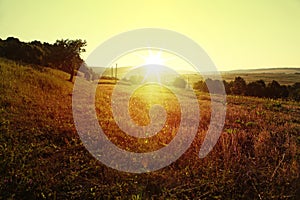 Meadow in rural areas