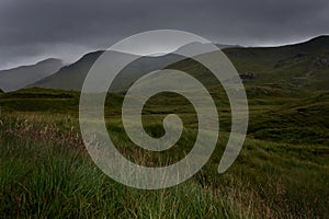 Meadow in Scottish countryside on the way to Isle of Skye