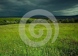 meadow by the sea, Ireland