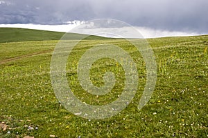 Meadow with storm clouds