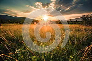 Meadow Sunset panorama View: Serene Nature Landscape Colorful Sky. Wide Countryside rye wheat field in the summer on cloudy sky